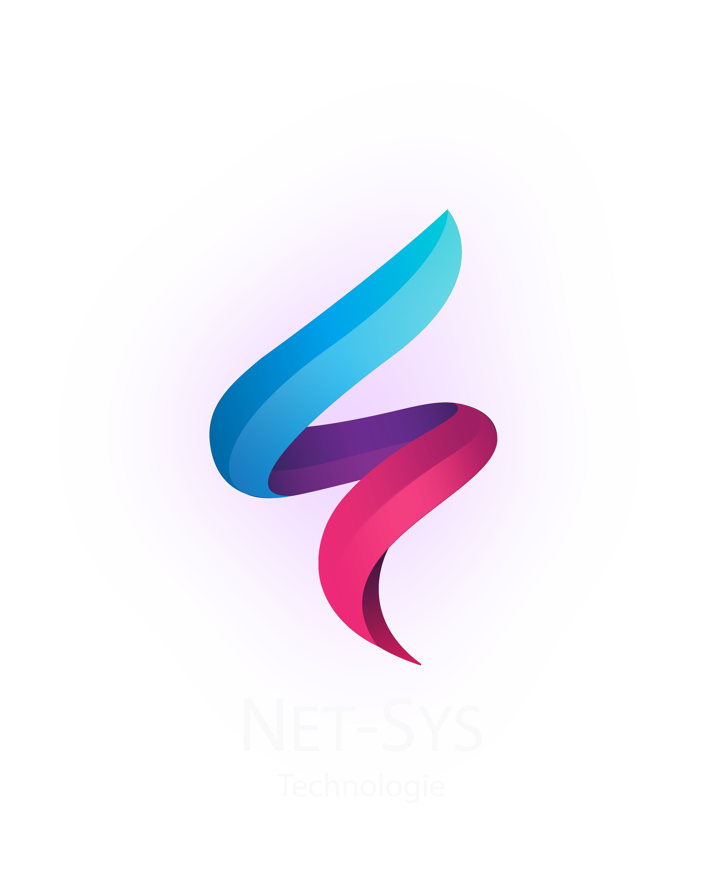 logo_netsys